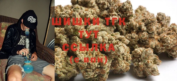 молекула духа Лабытнанги