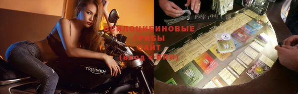 молекула духа Лабытнанги