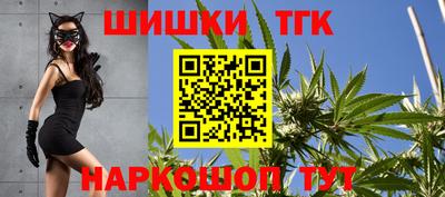 a pvp Гатчина