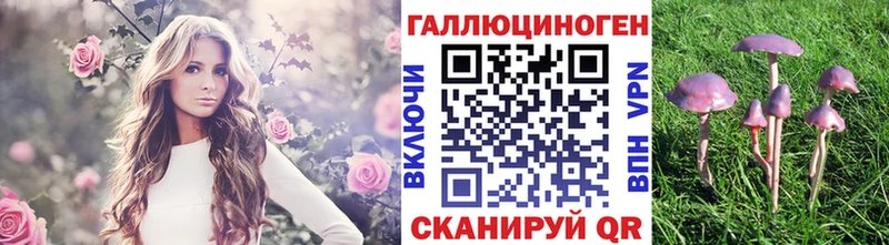 Псилоцибиновые грибы мухоморы  блэк спрут ONION  Нурлат 