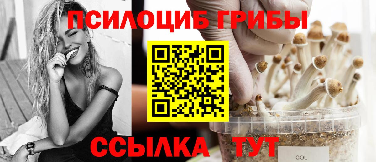 Галлюциногенные грибы Psilocybe Нурлат